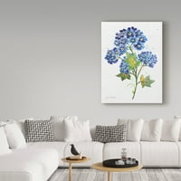 Търговска марка изобразително изкуство 'акварел цветя 3' платно изкуство от Жан Плут