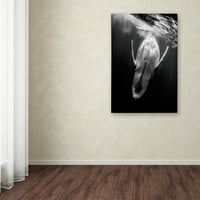 Изобразително изкуство 'черно и кит' платно изкуство от Баратийо Габриел