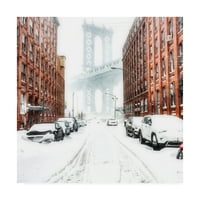 Търговска марка изобразително изкуство 'Ню Йорк виелица 2' платно изкуство от Брус Гет